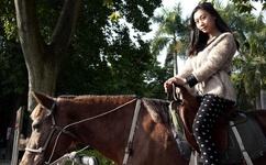 陆贞传奇片尾曲mv